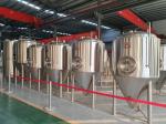 20BBL Microbrewery 20HL Brewery Fermentation Tanks