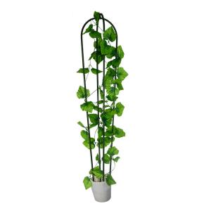 China Garden Vine 14mm 210cm House Climbing Metal Plant Stakes Trellis factory