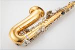 High-end saxophone, E flat, children, beginners, adults, playing musical