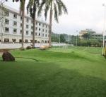 SGS Garden Fake Grass Carpet Green 60mm Landscaping Turf Floor