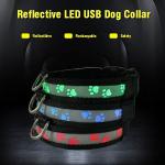 C903 Wholesale Most Welcomed Safety Waterproof Rechargeable Led Luminous Dog