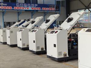 China Efficiency Above 90% Water-cooled Type Micro CHP For Alternator Cooling factory