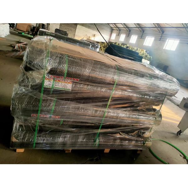 hexagonal wire mesh