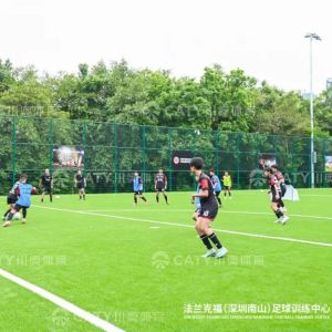 Durable 5-10 Years SBR Rubber Granules with Customizable Sizes 0.5-4mm and High