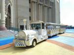 Eco Friendly 42 Passenger Electric Trackless Train For Sightseeing Customized