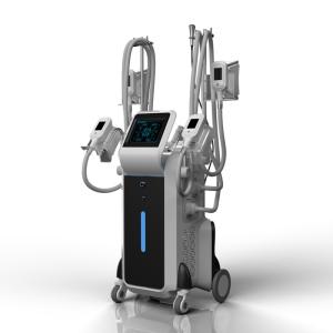 China Good used FDA/CE approved cellulite 10.4 inch touch screen 4 handles cryolipolysis fat freeze slimming machine factory