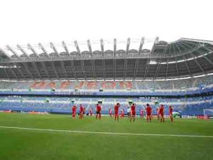China Real Looking Soccer Field Artificial Grass Mats , Football Synthetic Turf factory