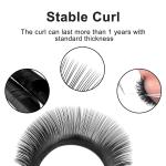 5D W Shape Lashes Extension CC/D/DD Curling Premade Volume Soft Eyelashes