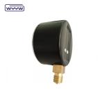 Bellows Type Capsule Pressure Gauge 63mm InH2O Manometer 100 Mbar