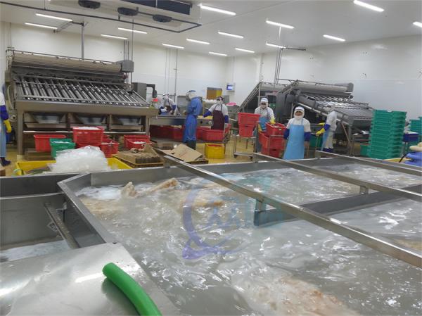 Seafood processing plant frozen fish and shrimp washing water cycle thawing
