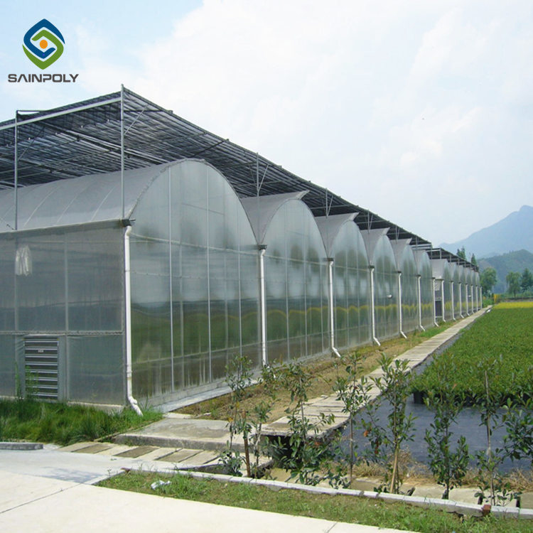 China Hydroponic 9.6m Multi Span Pc Greenhouse For Agriculture factory