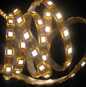 China super bright led strip light 60leds/m factory