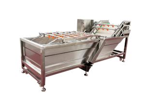 China 3.75KW 500kg/H Ozone Sterilizer Vegetable Washing Machine factory
