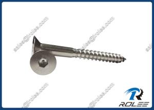 China 304/316 Stainless Steel Hex Drive Timber Wood Screw factory