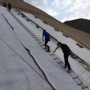China Length 50m Geocomposite Drainage Sheet 3d Composite Drainage Net 3d Geonet for T/T Payment factory