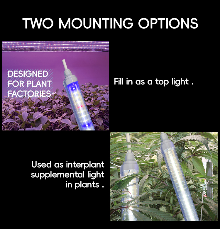 18W 20W 25W 28W 36W LED Grow Light Tubes Waterproof 3ft 4ft T5 T8 Lighting Fixture PVC Body