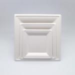 Greaseproof White Square Biodegradable Plates Waterproof Sustainable