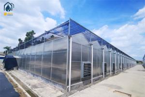 China Crop Growth Polycarbonate Greenhouse With Snow Resistant Aluminum Frame factory
