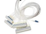 DWDM Mux/Demux Athermal AWG Module 40 Channel AAWG WDM-PON CATA System