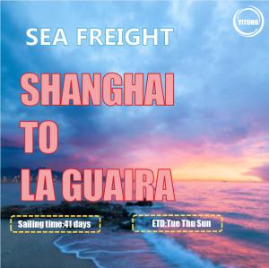 China YML OOCL Liner International Sea Freight From Shanghai To La Guaira Venezuala factory
