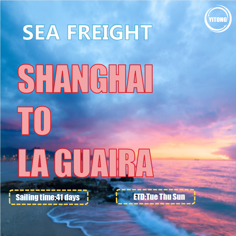YML OOCL Liner International Sea Freight From Shanghai To La Guaira Venezuala