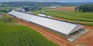 China Steel Structure Cow House Design Cow Farm House Farm Shed Steel Structure Workshop factory