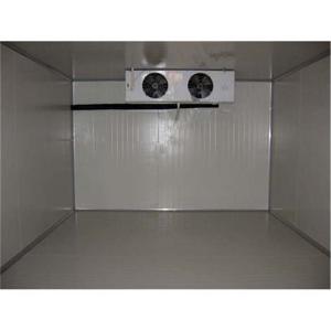 China Quick Freeze Walk In Cold Rooms Safety Fresh Keeping Small Freezer Room factory