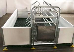 China Hot Dip Galvanized Hog Farrowing Crates Anti Sliding Plastic Slots For Piglets factory