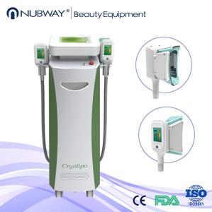 China Professional Two handles cryolipolysis extreme fat freeze body shaping beauty machine factory