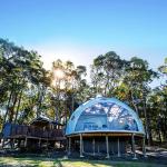 Half Sphere Trade Show Catering Dining Geodesic Dome Tent With Steel Frame Pvc