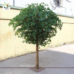 China UVG GRE024 Wholesale green artificial money tree plant for restaurant decoration 6ft high factory
