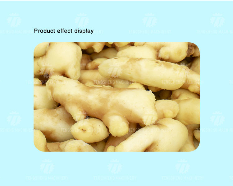 240KG Fruit and vegetable washing machine automatic cleaning operation line conveyor belt washing machine