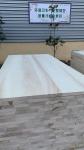18mm Poplar Solid Wood Board for Custom Design Panels 100-1220mm Width Populus