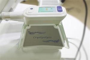China Hot sale!!! Portable cryotherapy freeze fat reduction machine with Lipo factory