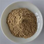 Glossy Privet Fruit Extract For Fatty Liver Care