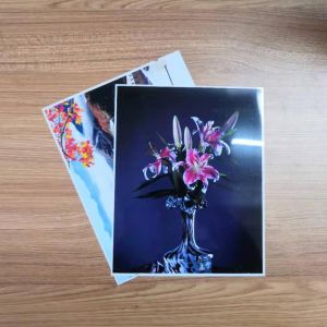 24"X30m RC Photo Paper Roll