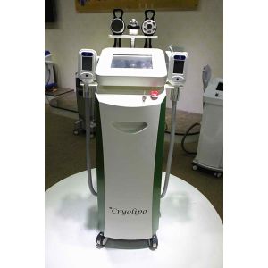 China cryolipolysis fat freeze slimming machine burn fat slimming capsules on sale
