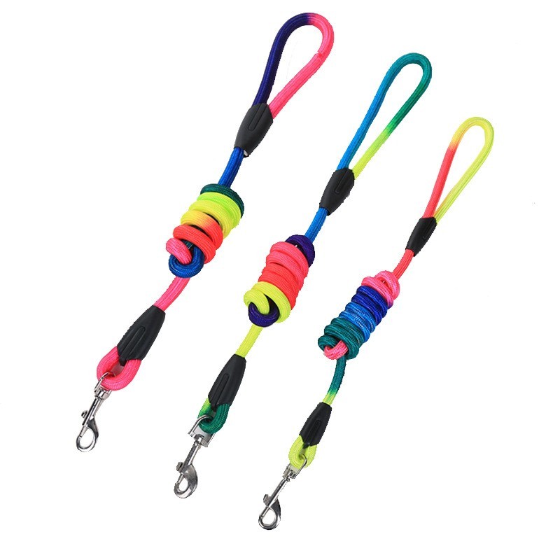 soft lead for dogs