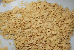 China 100% Garlic Frying Mature Crunchy Garlic Topping factory