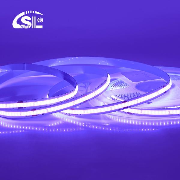 Experience the Magic of 24VDC Electroplate COB 320Ds 8mm Ra 85 Purple LED Light
