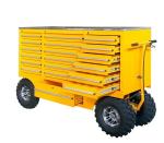 Cold Rolled Steel Chest Trolley with Powder Coat Finish and Stainless Steel