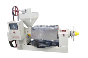 China Peanut Oil Press Cooking Oil Extraction Machine Mustardseeds Cold Press Oil Mill factory