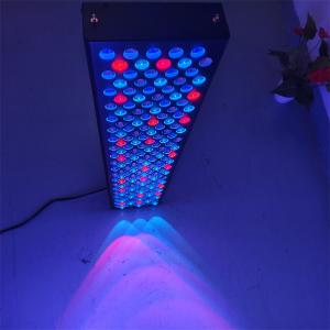 China Professional Red Light Therapy Full Body Panels Customized Wavelength Red Light Therapy Devices factory
