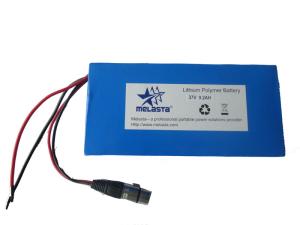 China 37V 9.2Ah Ebike Rechargeable LiFePO4 Battery Pack factory