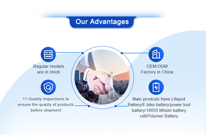 ODM OEM Customized Plug Type LiFePO4 Lithium Battery 24V 48V 18Ah 36Ah 40Ah