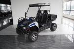Gas Utility Vehicles 200EUX (EFI) Utv Automatic CTV With Reverse Flips Down 32