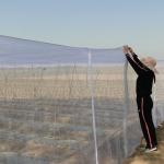 40 50 60 mesh 125g agriculture greenhouse insect net