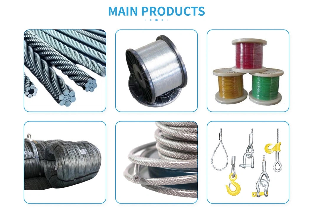 304/316 Multi Strand Steel Wire Rope for Conveyor Belt Tolerance ±1% 4x19W-WSC 4x31WS-FC Ungalvanized Galvanized