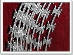 China hot dipped galvanized concertina razor barbed wire( profession factory) factory