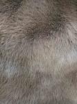 Coffee colored imitation fox fur is thick, solid, and soft